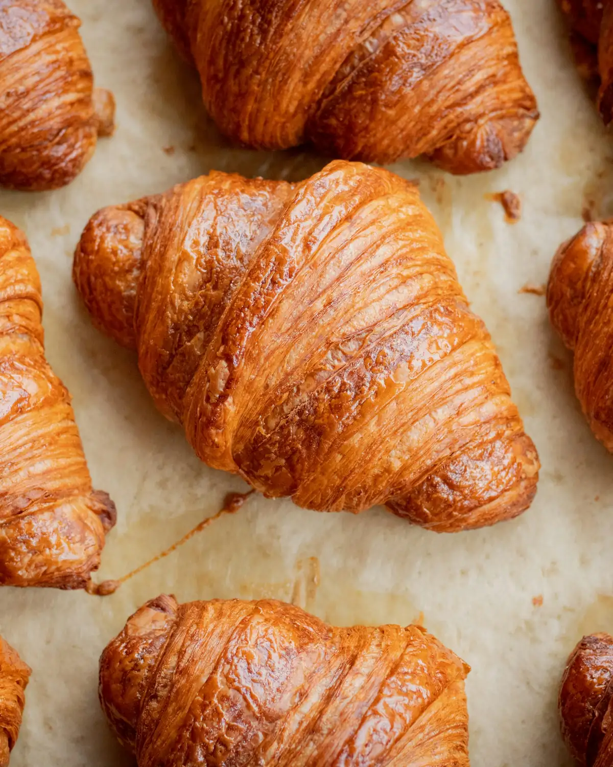 Sample photo: croissants cooling on a tray